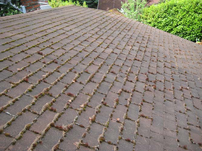 Roof Moss Removal & Cleaning Portland Oregon